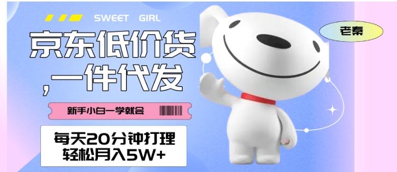 每天20分钟打理京东低价货,一件代发-轻松月入5W+-康仁安网创