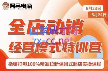 阿呆电商·全店动销经营模式特训营(线下录音+思维导图)-康仁安网创