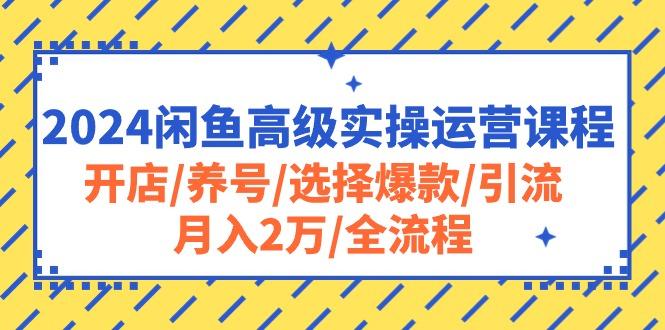 2024闲鱼高级实操运营课程：开店/养号/选择爆款/引流/月入2万/全流程-康仁安网创