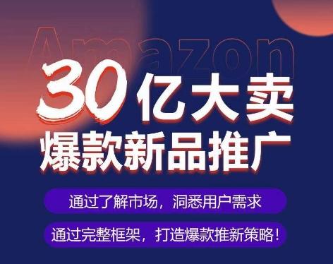 亚马逊·30亿大卖爆款新品推广,可复制、全程案例实操的爆款推新SOP-康仁安网创
