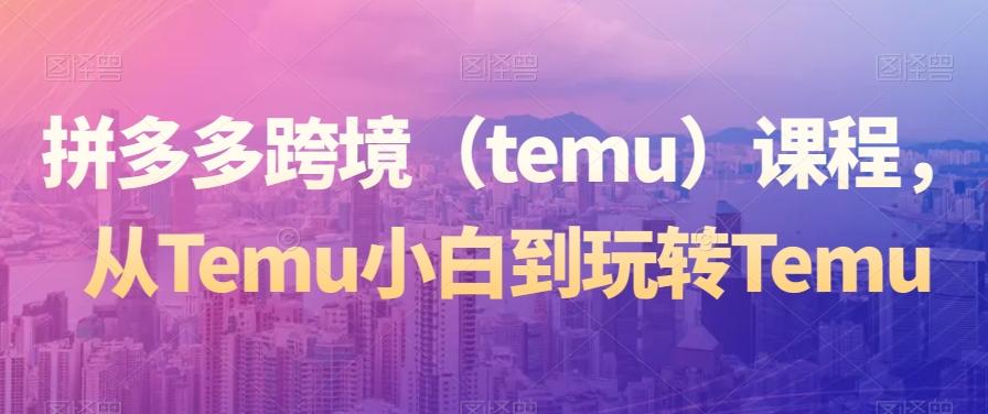 拼多多跨境(temu)课程,从Temu小白到玩转Temu-康仁安网创
