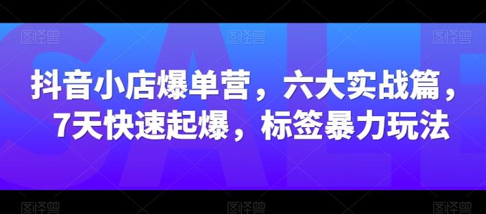 抖音小店爆单营,六大实战篇,7天快速起爆,标签暴力玩法-康仁安网创