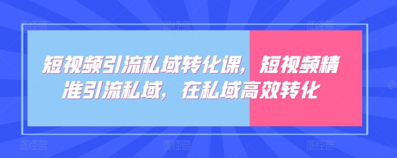 短视频引流私域转化课,短视频精准引流私域,在私域高效转化-康仁安网创