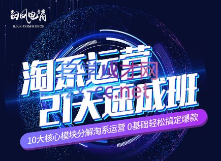 淘系运营21天速成班(更新7月)-康仁安网创