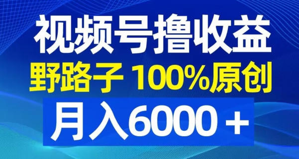 视频号野路子撸收益，100%原创，条条爆款，月入6000＋【揭秘】-康仁安网创
