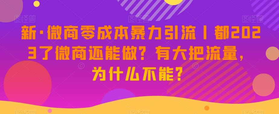 新·微商零成本暴力引流丨都2023了微商还能做?有大把流量,为什么不能?-康仁安网创