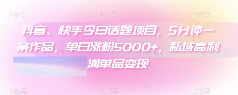 抖音、快手今日话题项目，5分钟一条作品，单日涨粉5000+，私域高利润单品变现-康仁安网创