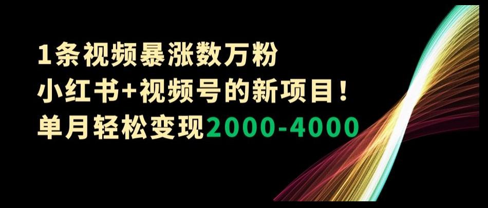 1条视频暴涨数万粉--小红书+视频号的新项目！单月轻松变现2000-4000【揭秘】-康仁安网创