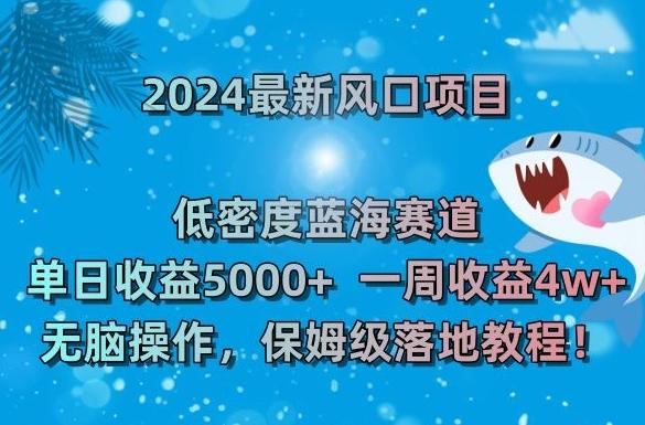 2024最新风口项目，低密度蓝海赛道，单日收益5000+，一周收益4w+！【揭秘】-康仁安网创