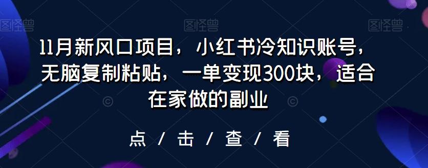 11月新风口项目，小红书冷知识账号，无脑复制粘贴，一单变现300块，适合在家做的副业-康仁安网创