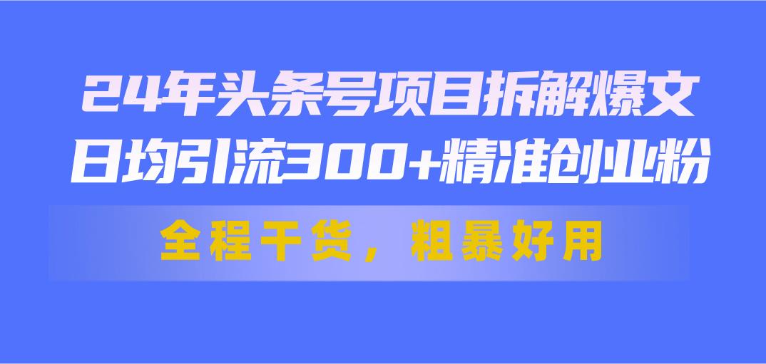 24年头条号项目拆解爆文，日均引流300+精准创业粉，全程干货，粗暴好用-康仁安网创