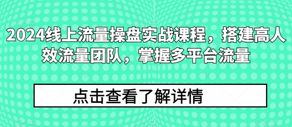 2024线上流量操盘实战课程，搭建高人效流量团队，掌握多平台流量-康仁安网创