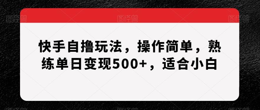 快手自撸玩法,操作简单,熟练单日变现500+,适合小白【揭秘】-康仁安网创