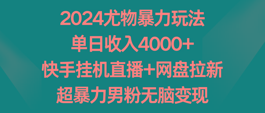 2024尤物暴力玩法 单日收入4000+快手挂机直播+网盘拉新 超暴力男粉无脑变现-康仁安网创