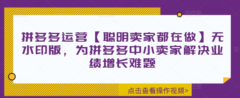 拼多多运营【聪明卖家都在做】无水印版,为拼多多中小卖家解决业绩增长难题-康仁安网创
