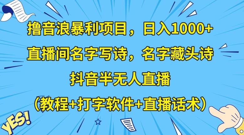 撸音浪暴利项目,日入1000+,直播间名字写诗,名字藏头诗,抖音半无人直播(教程+打字软件+直播话术)【揭秘】-康仁安网创