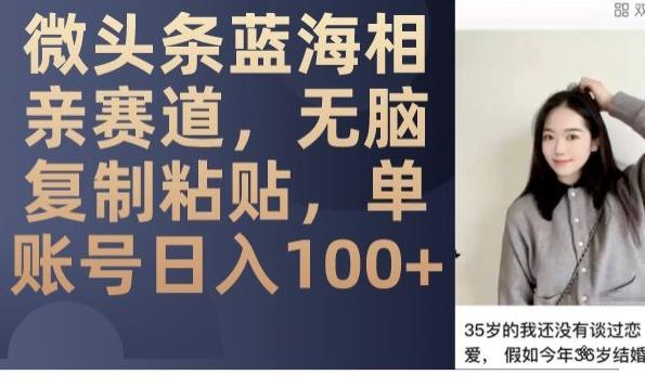 微头条蓝海相亲赛道，无脑复制粘贴，单账号日入100+-康仁安网创