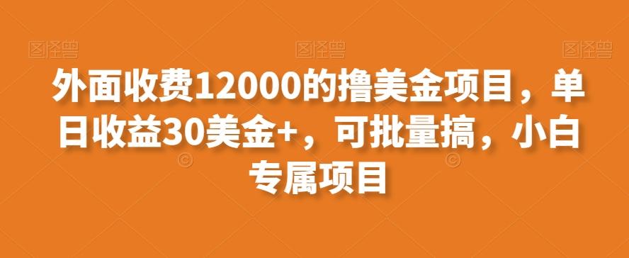 外面收费12000的撸美金项目，单日收益30美金+，可批量搞，小白专属项目-康仁安网创