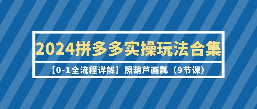 (9559期)2024拼多多实操玩法合集【0-1全流程详解】照葫芦画瓢(9节课)-康仁安网创