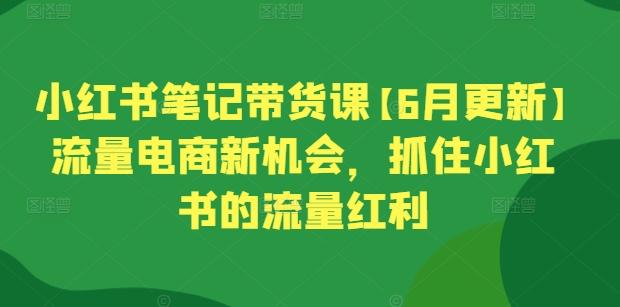 小红书笔记带货课【6月更新】流量电商新机会，抓住小红书的流量红利-康仁安网创