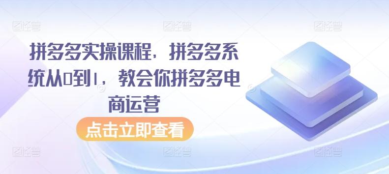 拼多多实操课程，拼多多系统从0到1，教会你拼多多电商运营-康仁安网创