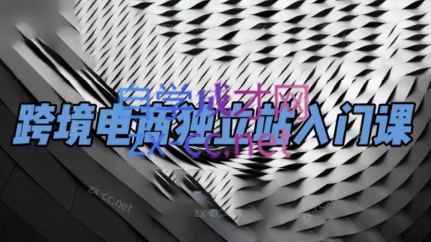 团长·跨境电商独立站入门课(2小时精华)-康仁安网创