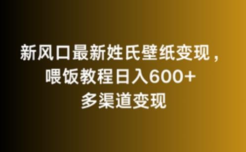 新风口最新姓氏壁纸变现,喂饭教程日入600+【揭秘】-康仁安网创