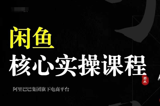 2024闲鱼核心实操课程，从养号、选品、发布、销售，教你做一个出单的闲鱼号-康仁安网创