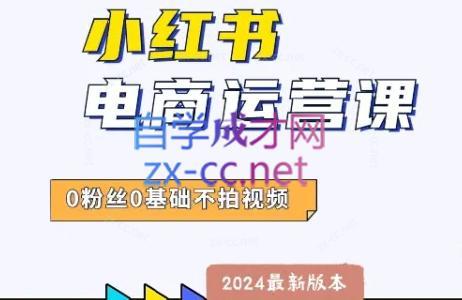 达哥·小红书电商运营(2024版)-康仁安网创