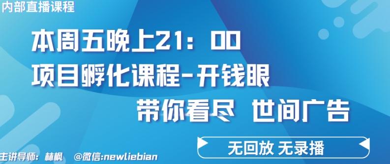 4.26日内部回放课程《项目孵化-开钱眼》赚钱的底层逻辑【揭秘】-康仁安网创
