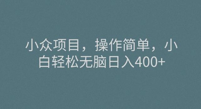 小众项目,操作简单,小白轻松无脑日入400+-康仁安网创