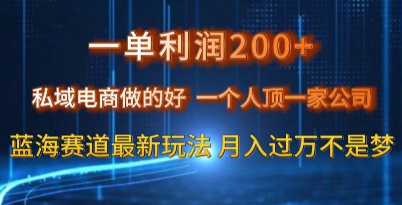 一单利润200私域电商做的好,一个人顶一家公司蓝海赛道最新玩法【揭秘】-康仁安网创