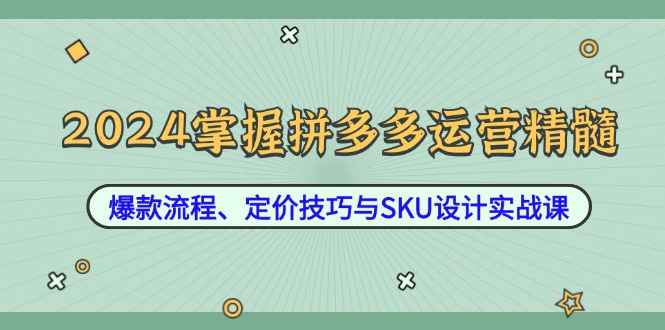 2024掌握拼多多运营精髓：爆款流程、定价技巧与SKU设计实战课-康仁安网创