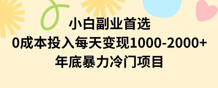小白副业首选，0成本投入，每天变现1000-2000年底暴力冷门项目【揭秘】-康仁安网创