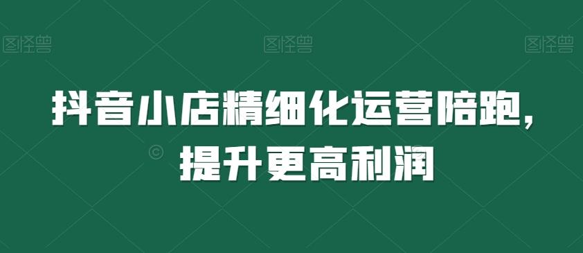 抖音小店精细化运营陪跑，提升更高利润-康仁安网创