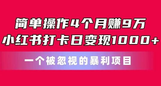 简单操作4个月赚9w，小红书打卡日变现1k，一个被忽视的暴力项目【揭秘】-康仁安网创