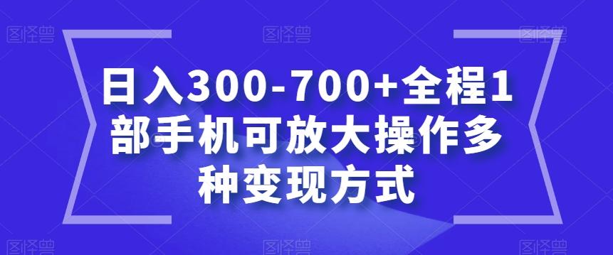 日入300-700+全程1部手机可放大操作多种变现方式【揭秘】-康仁安网创