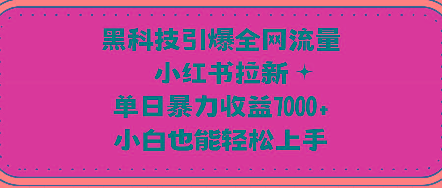 (9679期)黑科技引爆全网流量小红书拉新,单日暴力收益7000+,小白也能轻松上手-康仁安网创