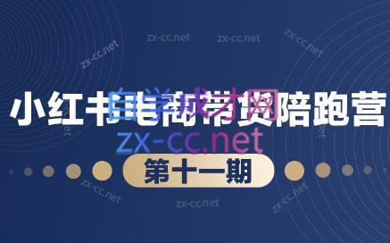 盗坤·小红书电商带货陪跑营(第十一期)-康仁安网创