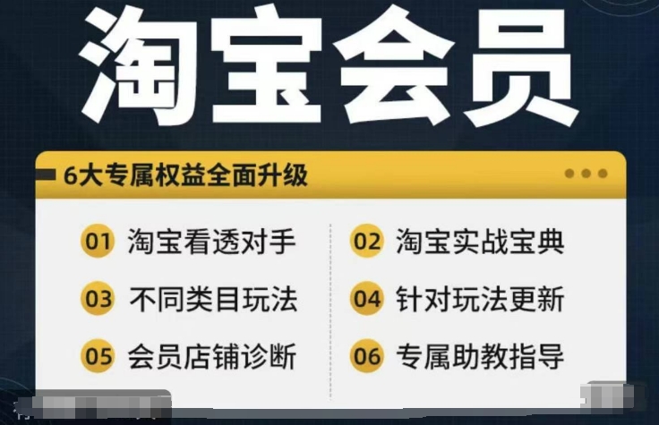 淘宝会员【淘宝所有课程,全面分析对手】,初级到高手全系实战宝典-康仁安网创
