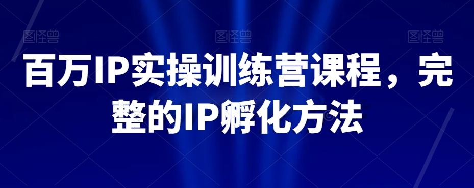 百万IP实操训练营课程,完整的IP孵化方法-康仁安网创