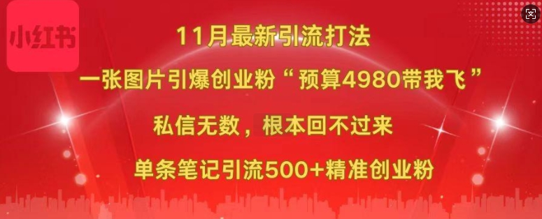 小红书11月最新图片打粉，一张图片引爆创业粉，“预算4980带我飞”，单条引流500+精准创业粉-康仁安网创