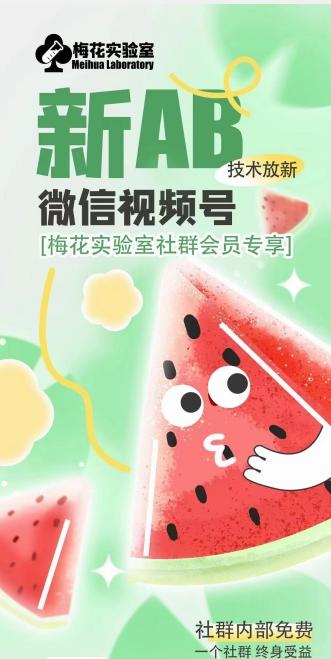 梅花实验室2024年AB技术视频号AB合成破解版-康仁安网创