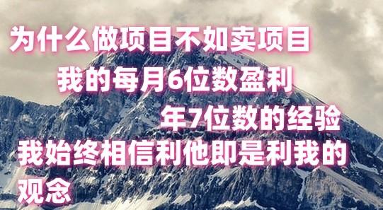 做项目不如卖项目,每月6位数盈利,年7位数经验-康仁安网创