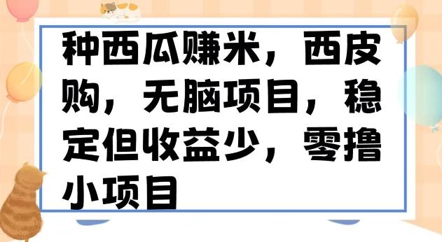 种西瓜赚米,西皮购稳定长久零撸小项目-康仁安网创