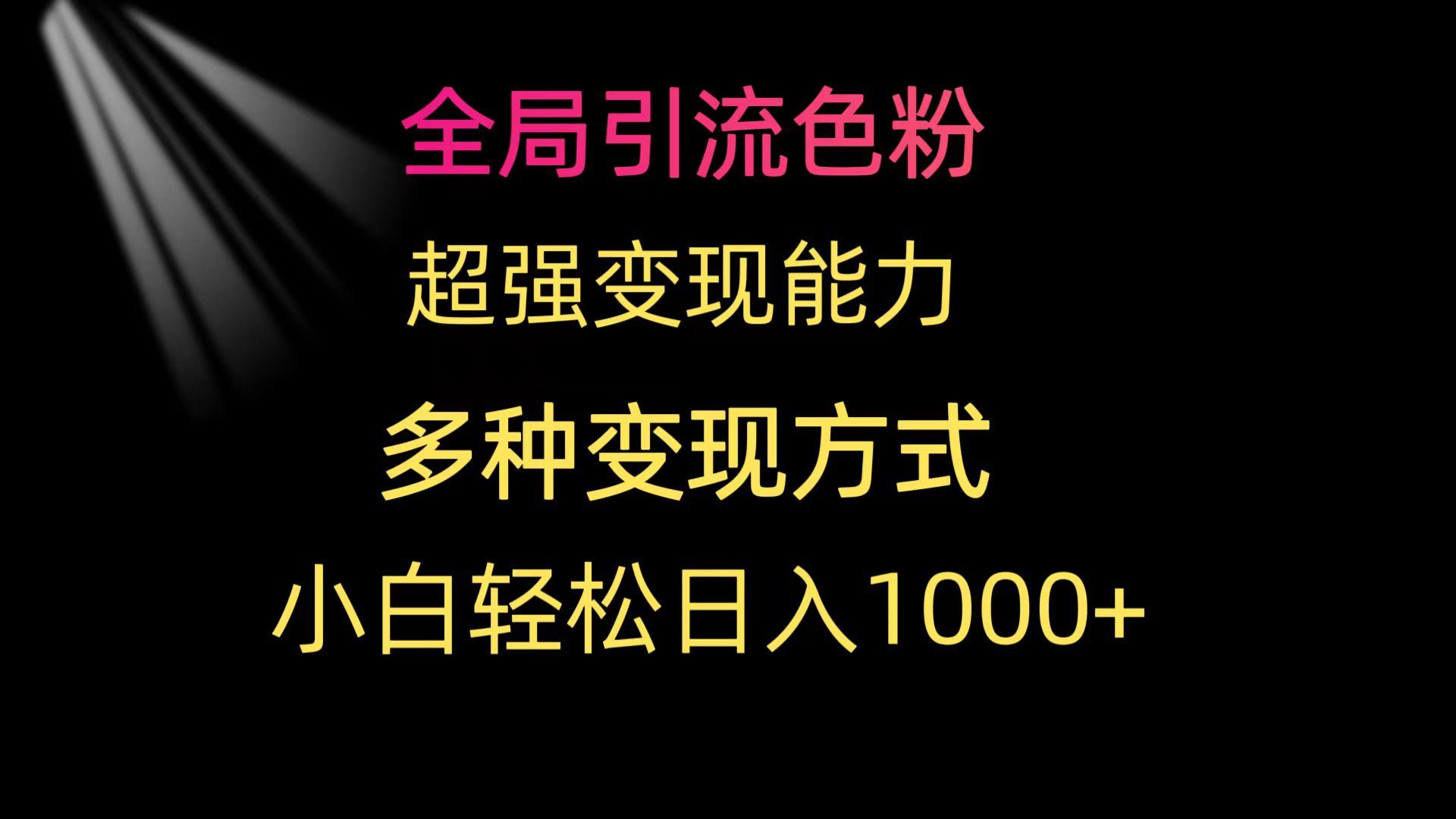 (9680期)全局引流色粉 超强变现能力 多种变现方式 小白轻松日入1000+-康仁安网创