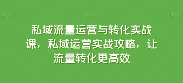 私域流量运营与转化实战课，私域运营实战攻略，让流量转化更高效-康仁安网创