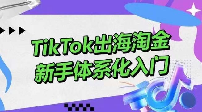 TikTok出海淘金,新手体系化入门,零基础快速入门,掌握短视频、直播带货等引流到变现的知识-康仁安网创
