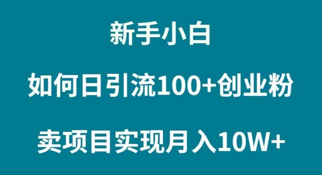 (9556期)新手小白如何通过卖项目实现月入10W+-康仁安网创