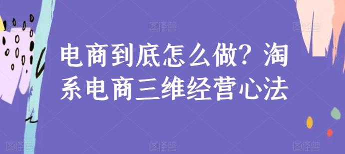 电商到底怎么做?淘系电商三维经营心法-康仁安网创